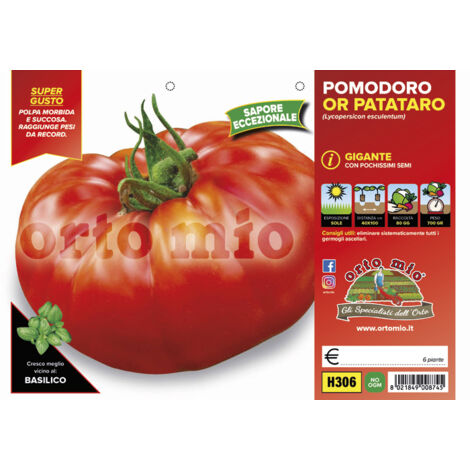  Pomodoro Gigante Or Patataro - 6 Piante - Orto Mio