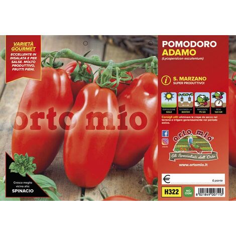  Pomodoro San Marzano E Ovale Adamo F1 - 6 Piante - Orto Mio
