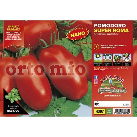  Pomodoro Da Salsa (nano) Super Roma H1538 F1 - 6 Piante - Orto Mio