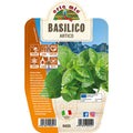 1 PIANTA DI BASILICO ARTICO VASO 14CM MASTERCHEF ORTOMIO MASTERCHEF AROMATICHE