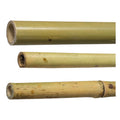  Canne In Bamboo H210 Cm. Diam. 26/28 Mm. Conf. 25Pz