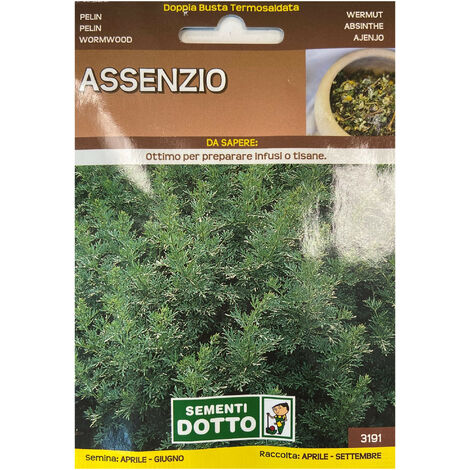  Assenzio Maggiore (Semente)