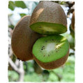  Pianta Di Kiwi Actinidia Hayward Femmina H 160 Cm