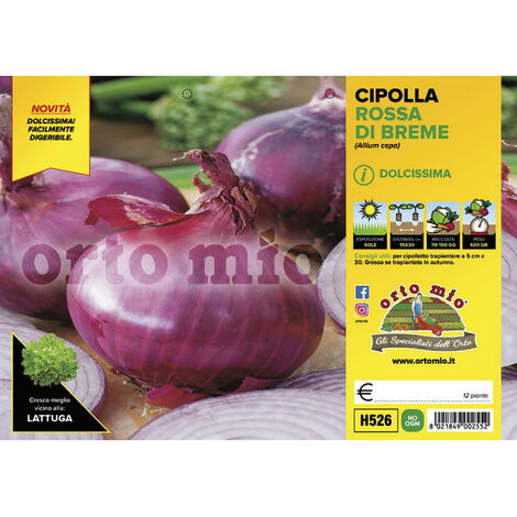  Cipolla Rossa Di Breme