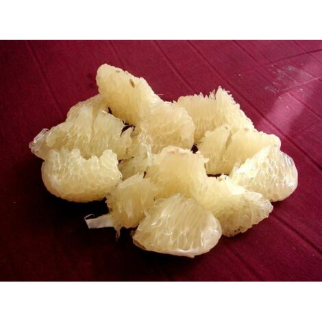  Pomelo Pummelo "Citrus Maxima" Pianta Adulta In Fitocella Agrumi Di Sicilia