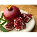  Melograno Da Frutto "Punica Granatum Wonderful" Pianta In Vaso H. 150 Cm