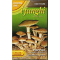  MICELIO ESSICATO DI FUNGO FUNGHI PIOPPINO CONFEZIONE DA 100GR.