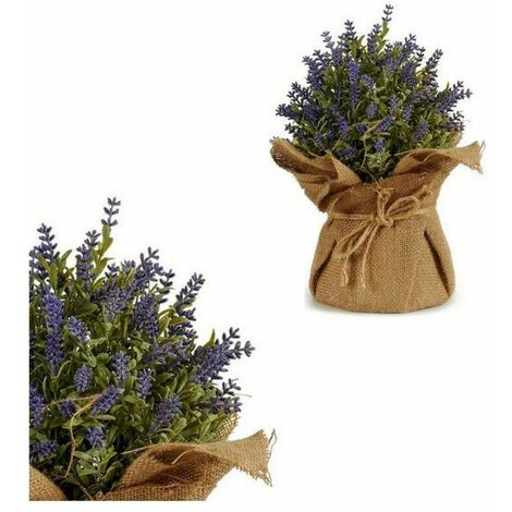  Pianta Decorativa Plastica (15 X 28 X 15 Cm)