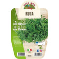  Ruta Aromatica - 1 Pianta V.14 - Orto Mio