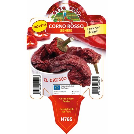  Peperone Corno Rosso Senise Crusco - 1 Pianta V.10 Cm - Orto Mio