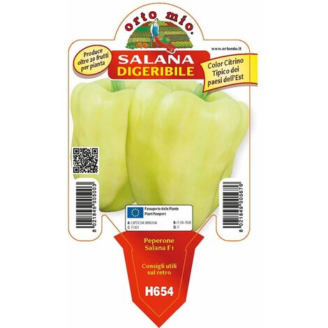  Peperone Digeribile Citrino Salana Laguna F1 - 1 Pianta V.10 Cm - Orto Mio