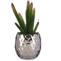  Pianta Decorativa Argentato Cactus Ceramica Plastica (8 X 20 X 8 Cm)