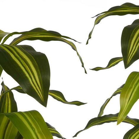  Pianta Decorativa A Foglia Larga Verde Plastica (70 X 120 X 70 Cm)