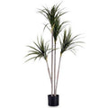  Pianta Decorativa Foglia Stretta Verde Plastica (80 X 140 X 85 Cm)