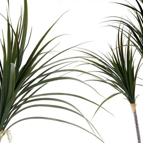  Pianta Decorativa Foglia Stretta Verde Plastica (80 X 140 X 85 Cm)