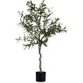  Pianta Decorativa Ulivo Verde Plastica (85 X 150 X 85 Cm)