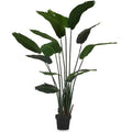  Pianta Decorativa Uccello Del Paradiso Verde Plastica (130 X 160 X 130 Cm)
