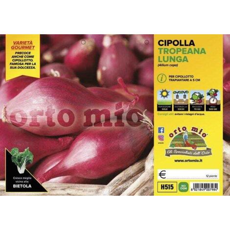  ORTO MIO Cipolla Tropeana Lunga