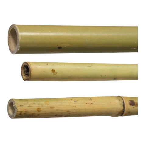  CANNE BAMBë H210CM DIAM.24/26MM