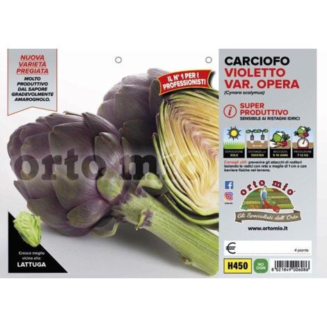  ORTO MIO Carciofo Violetto Tipo Romagnolo Var. Opera