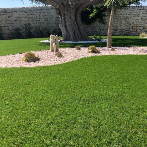 Evergreen Prato Sintetico Artificiale Drenante Divina Garden 35mm 2x25mt