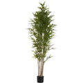  Pianta Decorativa Bambù Verde Plastica (80 X 180 X 80 Cm)