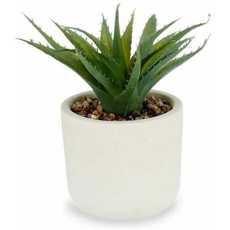  Pianta Decorativa Bianco Plastica (14 X 9 X 14 Cm)