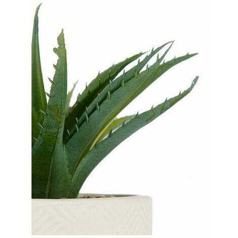  Pianta Decorativa Bianco Plastica (14 X 9 X 14 Cm)