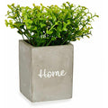  Pianta Decorativa Grigio Cemento Verde Plastica 13 X 20 X 13 Cm