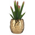 Pianta Decorativa Dorato Cactus Ceramica Verde Plastica 10 X 20 X 10 Cm