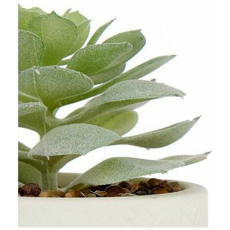  Pianta Decorativa Bianco Verde Plastica